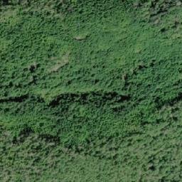 Satellite imagery of Tripp Hill, CA