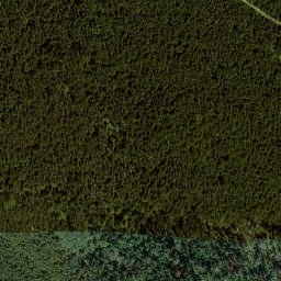 Satellite imagery of Mount Connaught, CA