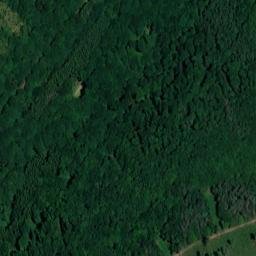 Satellite imagery of Grünbüsch, DE