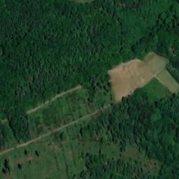 Satellite imagery of Grünbüsch, DE