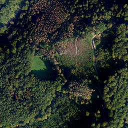 Satellite imagery of Pfahl-Berg, DE