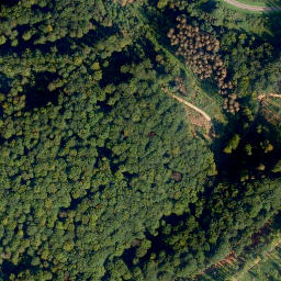 Satellite imagery of Pfahl-Berg, DE