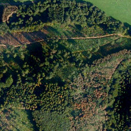 Satellite imagery of Pfahl-Berg, DE
