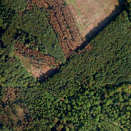Satellite imagery of Malbergskopf, DE