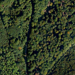 Satellite imagery of Malbergskopf, DE