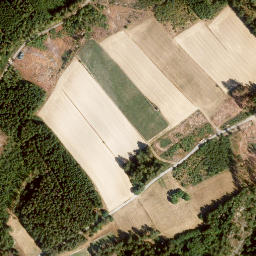 Satellite imagery of Eisenberg, DE