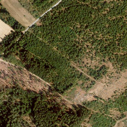 Satellite imagery of Eisenberg, DE