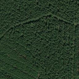 Satellite imagery of Feuerturm, DE