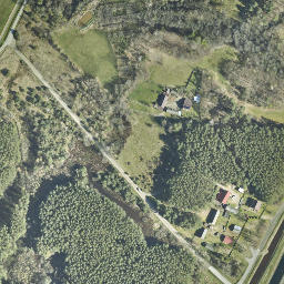Satelita