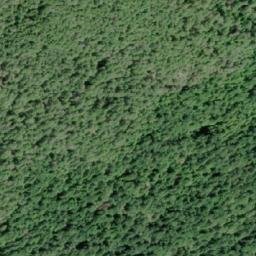 Satellite imagery of Tripp Hill, CA