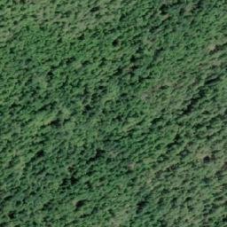 Satellite imagery of Tripp Hill, CA