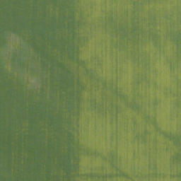 Satellite imagery of Old Women's Buffalo Jump, CA