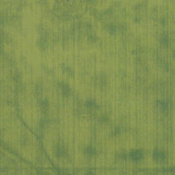 Satellite imagery of Old Women's Buffalo Jump, CA