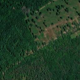 Satellite imagery of Grünbüsch, DE