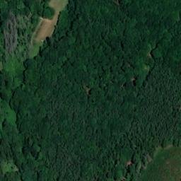 Satellite imagery of Buchenberg, DE