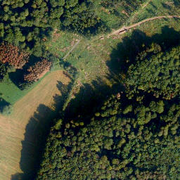 Satellite imagery of Pfahl-Berg, DE
