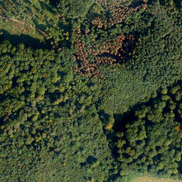 Satellite imagery of Pfahl-Berg, DE
