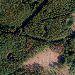 Satellite imagery of Hölzen-Berg, DE