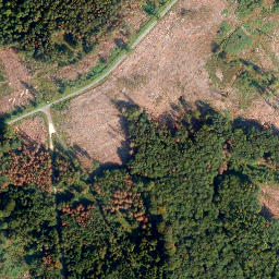 Satellite imagery of Hölzen-Berg, DE