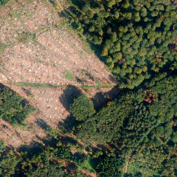 Satellite imagery of Hölzen-Berg, DE