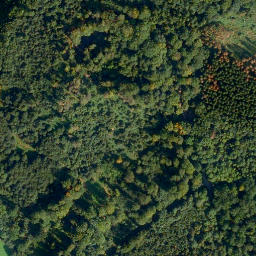 Satellite imagery of Hölz-Berg, DE