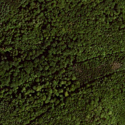 Satellite imagery of Turmberg, DE