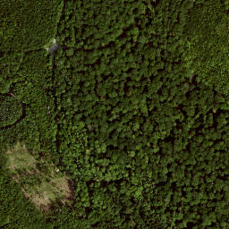 Satellite imagery of Turmberg, DE