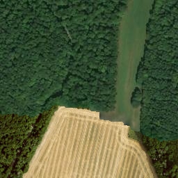 Satellite imagery of Jungberg, DE