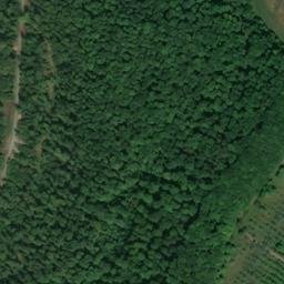 Satellite imagery of Wolfsberg, DE