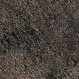 Satellite imagery of Iltenberg, DE