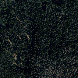Satellite imagery of Mittelberg, DE