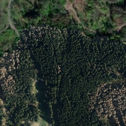 Satellite imagery of Kirchberg, DE