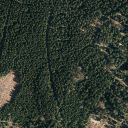 Satellite imagery of Frohnberg, DE