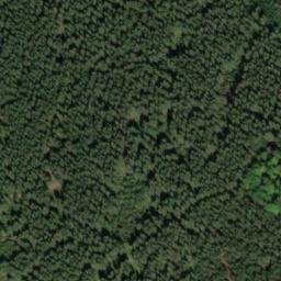 Satellite imagery of Steinkamm, DE