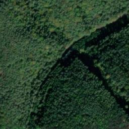 Satellite imagery of Bukový vrch [Dobřeň], CZ