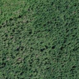 Satellite imagery of Shaw Point, CA