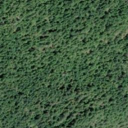 Satellite imagery of Shaw Point, CA