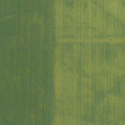 Satellite imagery of Old Women's Buffalo Jump, CA
