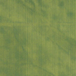 Satellite imagery of Old Women's Buffalo Jump, CA