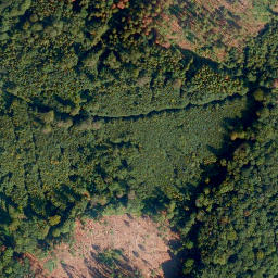 Satellite imagery of Hölzen-Berg, DE
