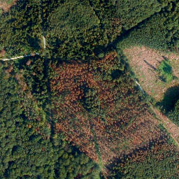 Satellite imagery of Hölzen-Berg, DE