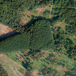 Satellite imagery of Hölzen-Berg, DE