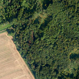 Satellite imagery of Eichberg, DE