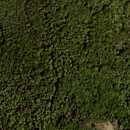 Satellite imagery of Turmberg, DE