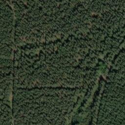 Satellite imagery of Steinkamm, DE