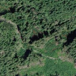 Satellite imagery of Shaw Point, CA