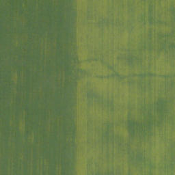 Satellite imagery of Old Women's Buffalo Jump, CA