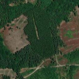 Satellite imagery of Buchenberg, DE