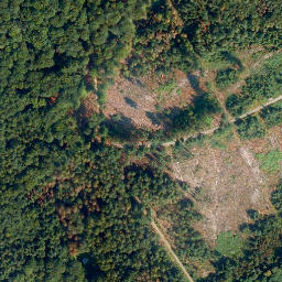 Satellite imagery of Hölzen-Berg, DE
