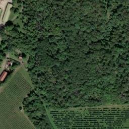 Satellite imagery of Srbsko, CZ